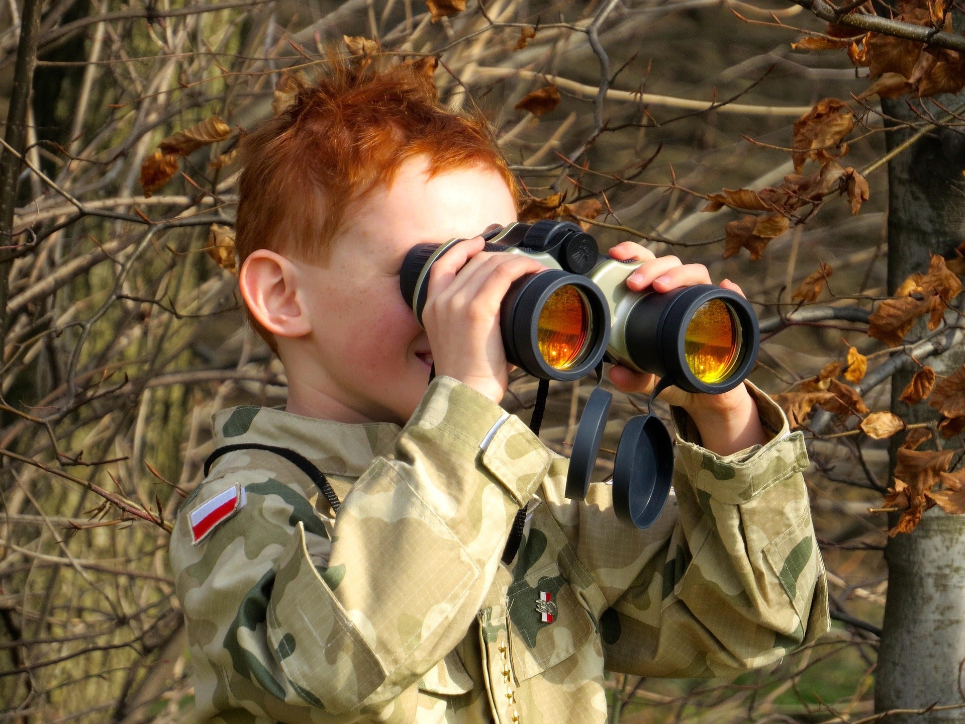 Birding