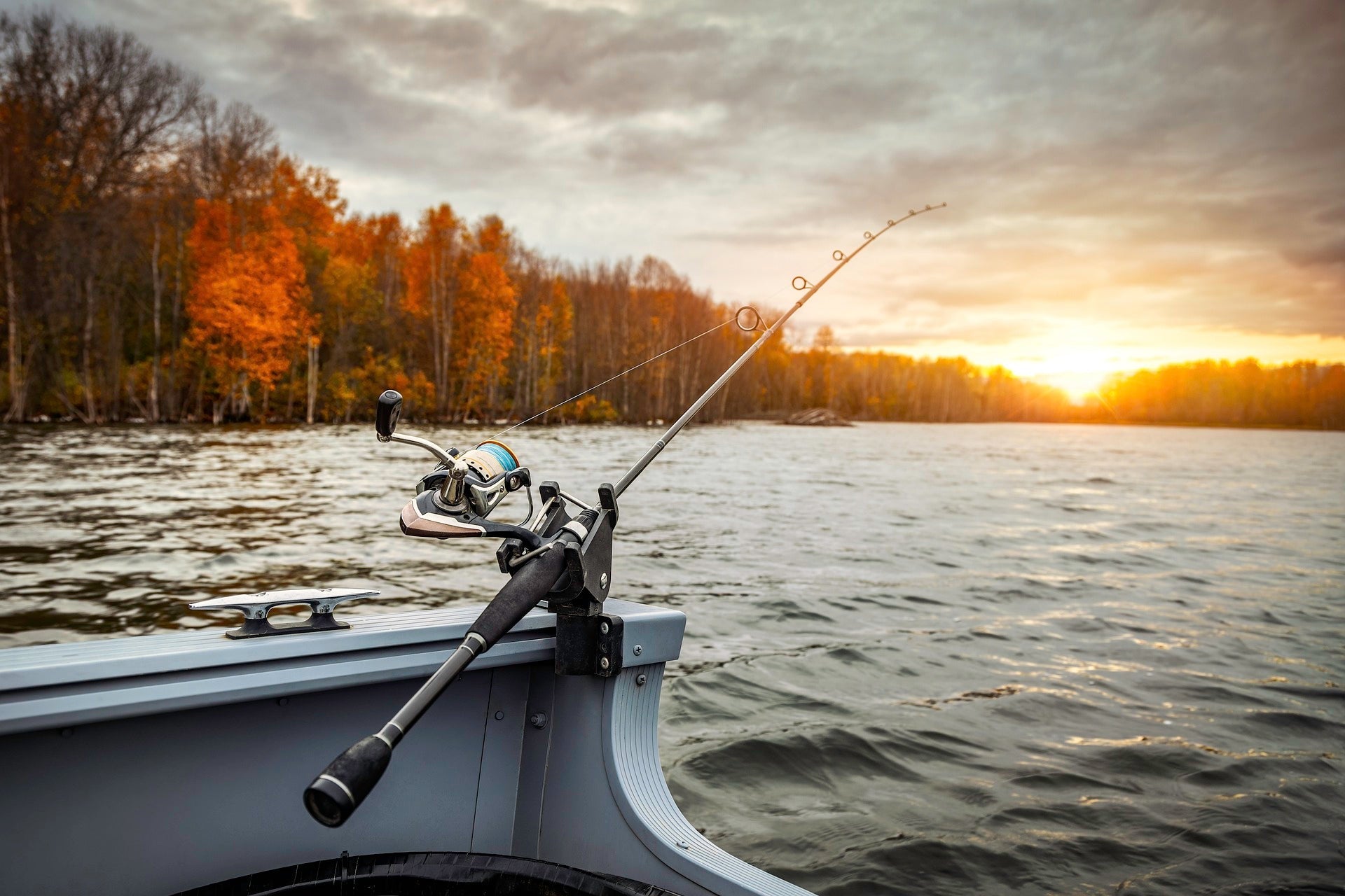 All your Fishing needs