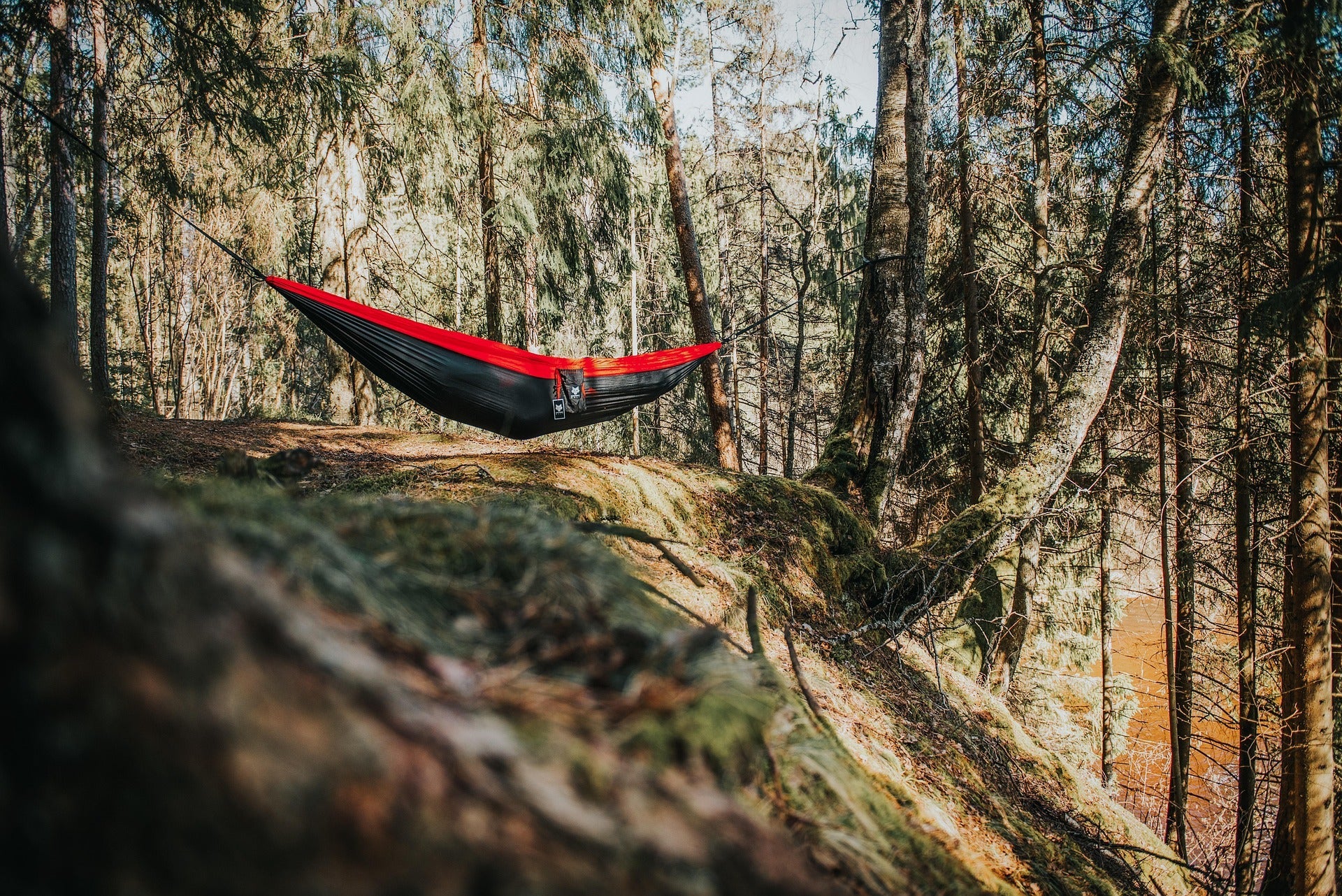 Hammocks