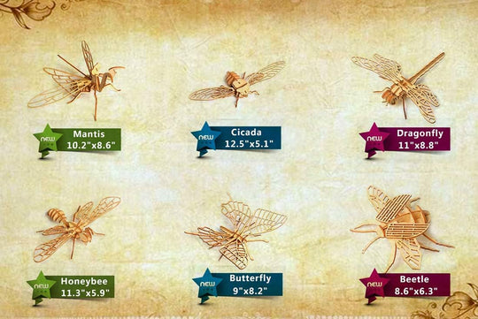 3D Wooden Insect Puzzle - 6 Piece Set Insect Animal Skeleton Assembly Model Puzzle - DIY Wooden Crafts 3D Puzzle - Wood STEM Gifts for Adults &amp; Teens Birthday Gifts Christmas