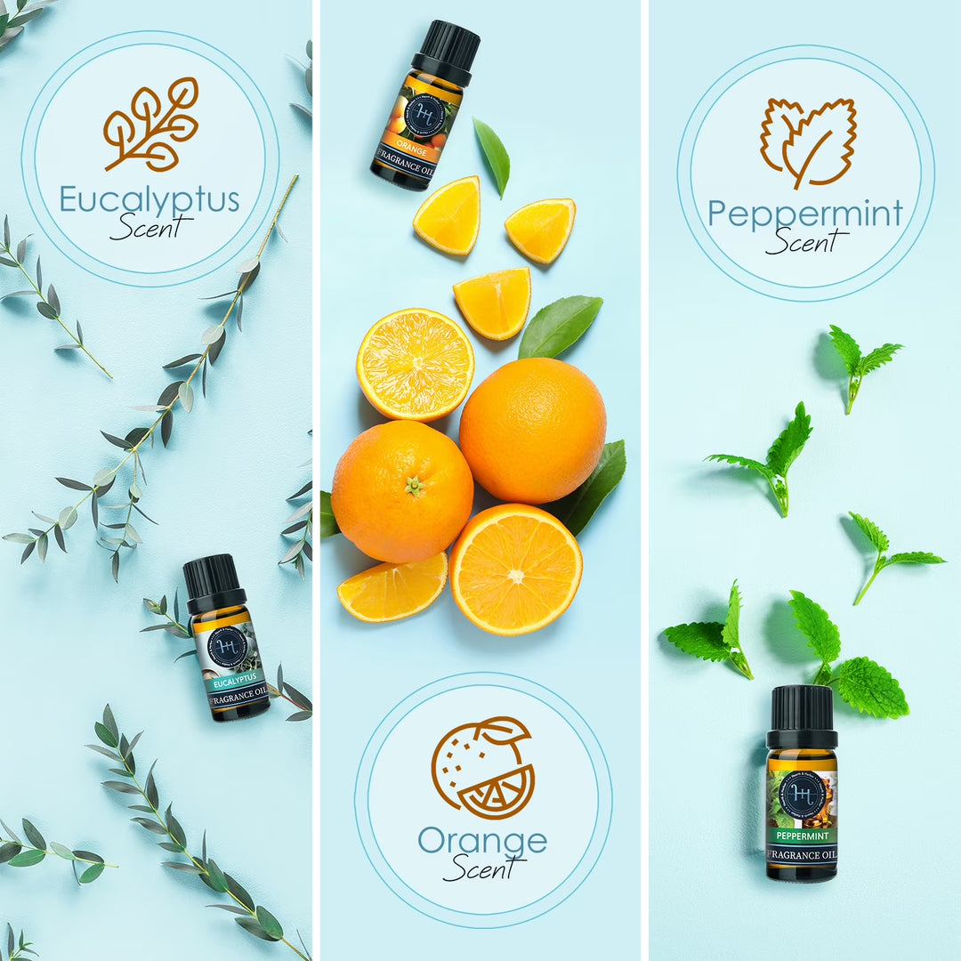 Candle Fragrance Oil for Candle Making, 6 Scents