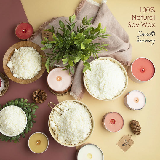 Soy Candle Making Kit - 12.4Oz Natural Soy Candle Wax for Candle Making, Electric Candle Wax Melting Pot, 900Ml Stainless Steel Pot, Cotton Wicks, Dye Blocks Etc.