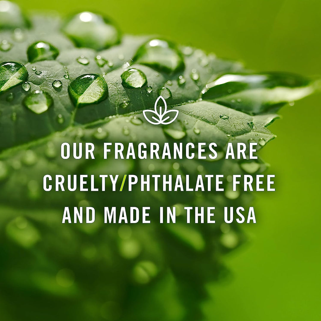 P&amp;J Trading Fragrance Oil for Diffusers for Home - Rose 10Ml Fragrance Scents for Candle Making - Soap Making Supplies &amp; Car Diffuser Scents