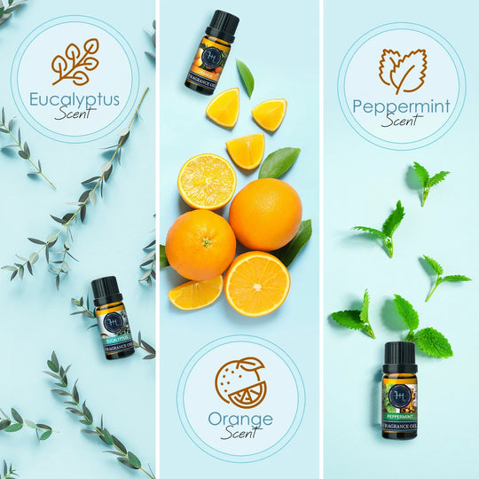 Set of 6 Premium Scented Fragrance Oil for Candle Making, Soap Making, Incense, Potpourri &amp; Aroma Diffuser - Lemongrass, Peppermint, Orange, Lavender, Eucalyptus, Tea Tree Scents, 10Ml Bottles