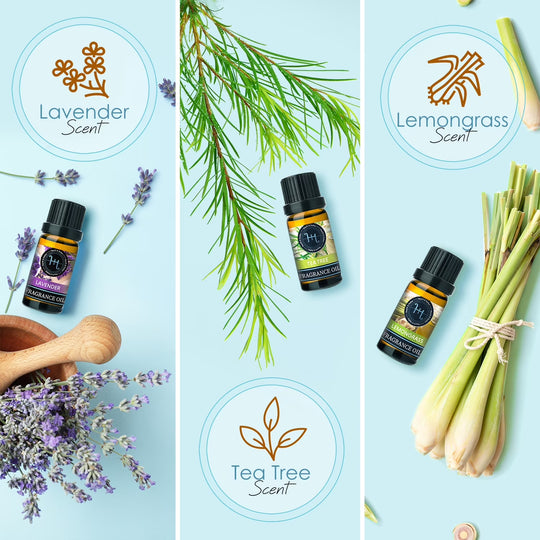 Candle Fragrance Oil for Candle Making, 6 Scents